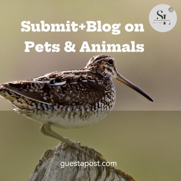 Alt=Submit+Blog on Pets & Animals