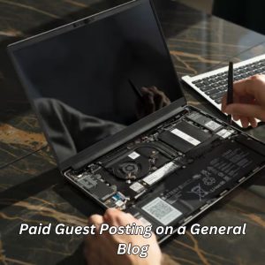 Paid Guest Posting on a General Blog
