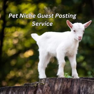 Pet Niche Guest Posting Service