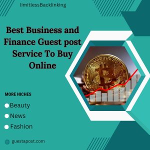 Best Business and Finance Guest Post Service to Buy Online