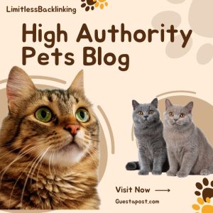 High Authority Pets Blog