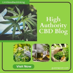 High Authority CBD Blog
