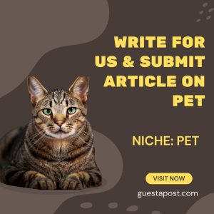 Write for us & Submit article on pet