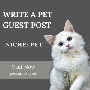 Write a Pet Guest Post