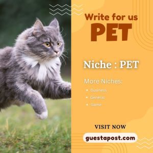 Write for us Pet