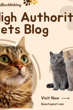 High Authority Pets Blog