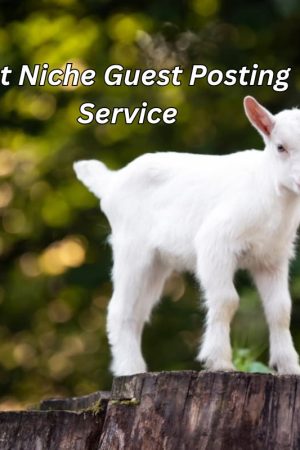 Pet Niche Guest Posting Service