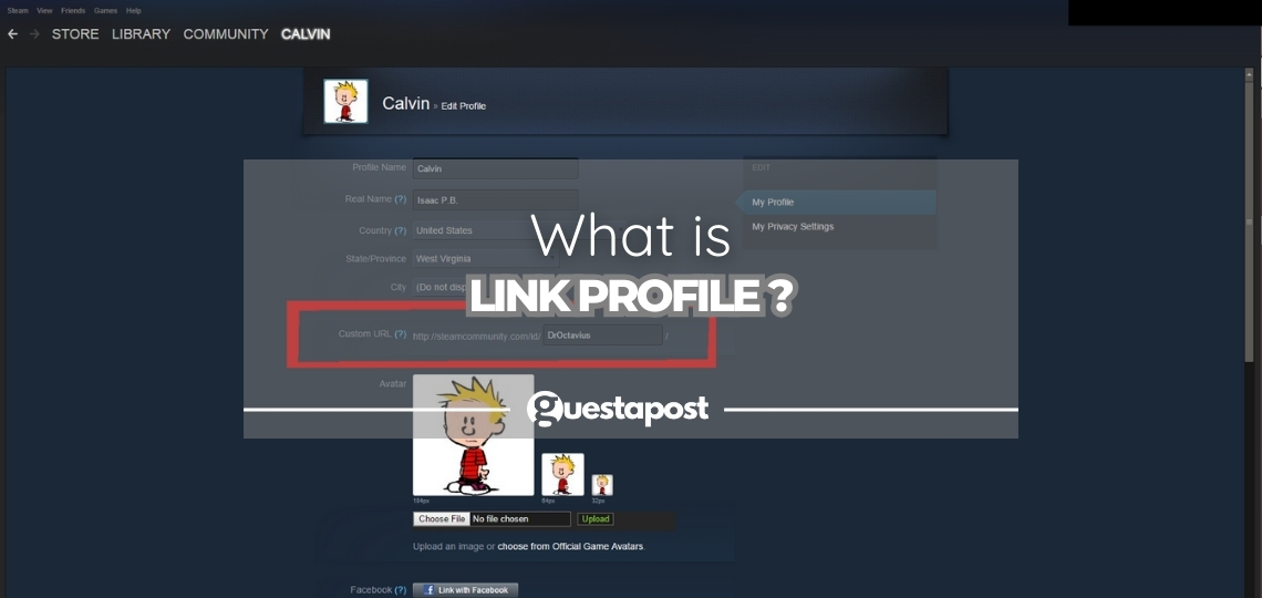 What is Link Profile